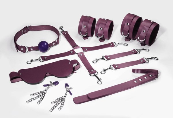 Набір Feral Feelings BDSM Kit 7, наручники, поножі, конектор, маска, паддл, кляп, затискачі SO8276-SO-T фото