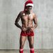 Новорічний чоловічий еротичний костюм JSY Улюблений Санта SO3676-SO-T фото 4
